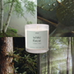 white forest